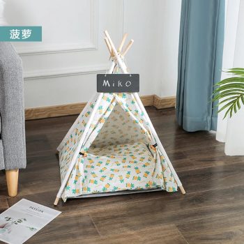 Tipi Chat Ananas