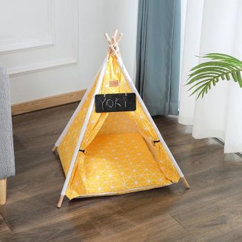 Tipi Chat Jaune Et Blanc