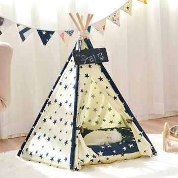 Tipi Chat Étoiles